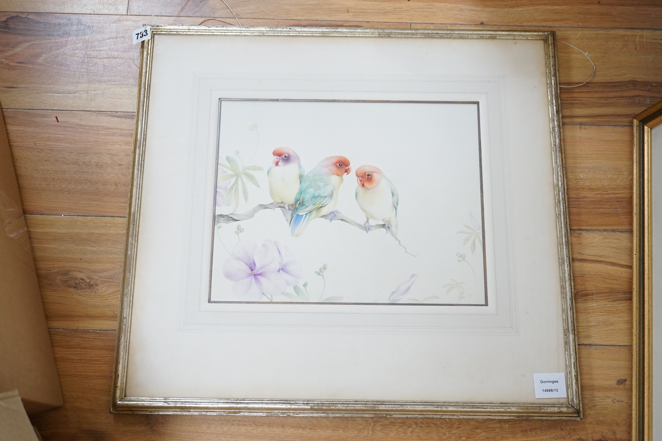 Edward Julius Detmold (1883-1957), watercolour, 'Three love birds', Museum Galleries label verso, 28 x 36cm. Condition - fair to good